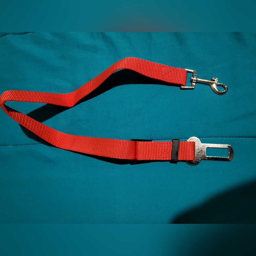 Dog seat belt!